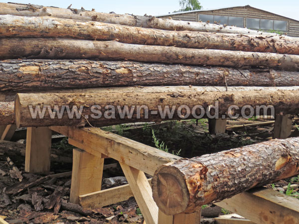 sawn-wood-119