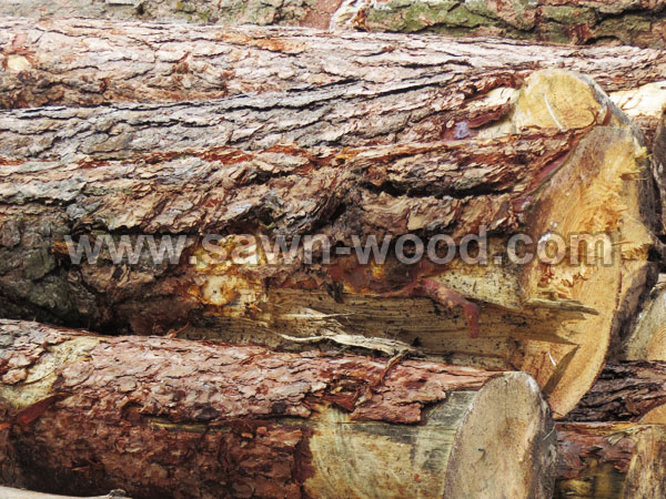 sawn wood (1001)