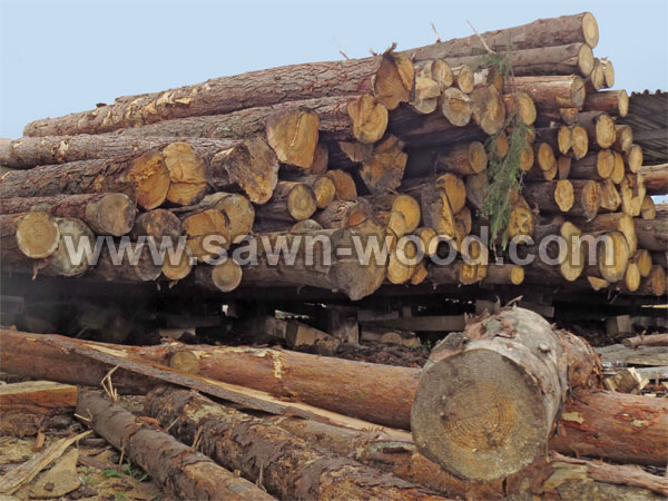 sawn wood (110)