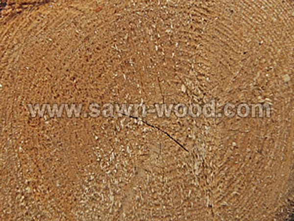 sawn wood (60)