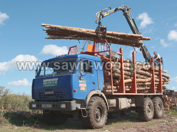 sawn wood (86)