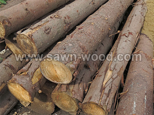 sawn wood (93)