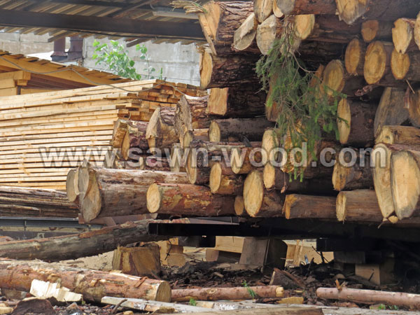 sawn wood (95)