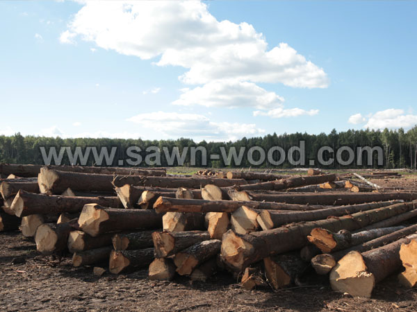 sawn wood (10)