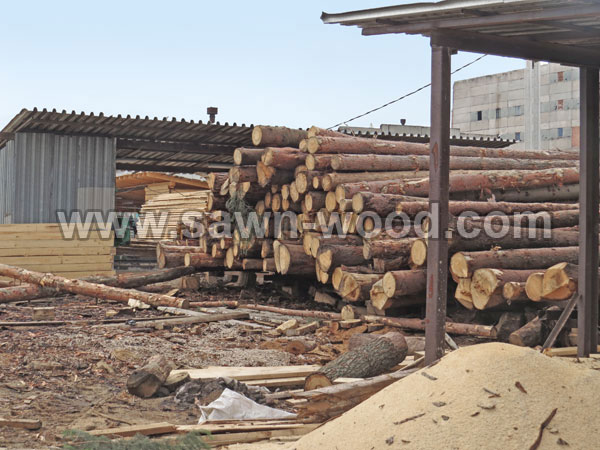 sawn wood (102)