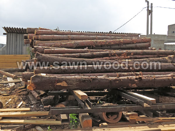 sawn wood (105)