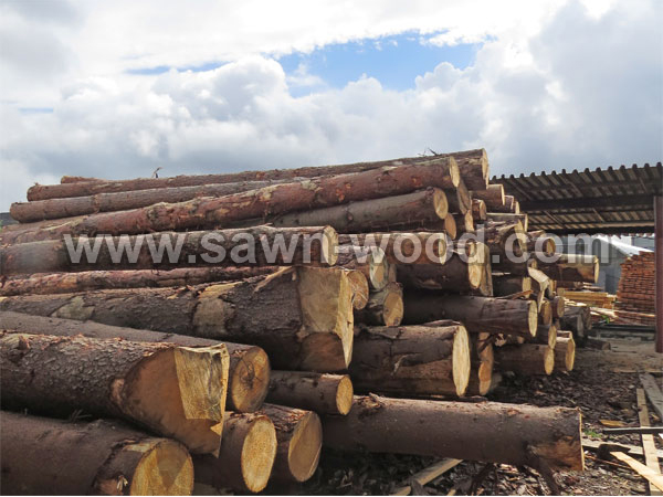 sawn wood (106)