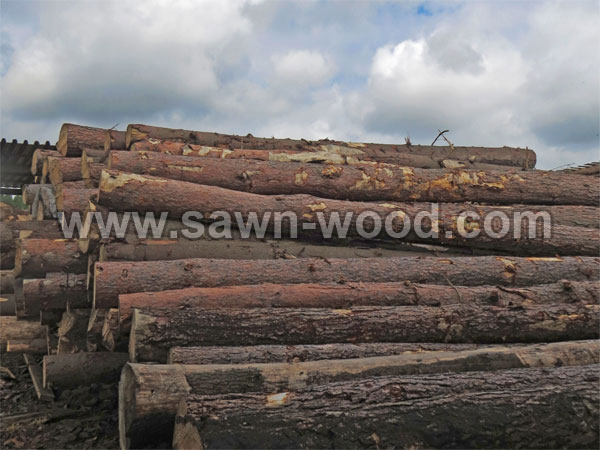 sawn wood (108)