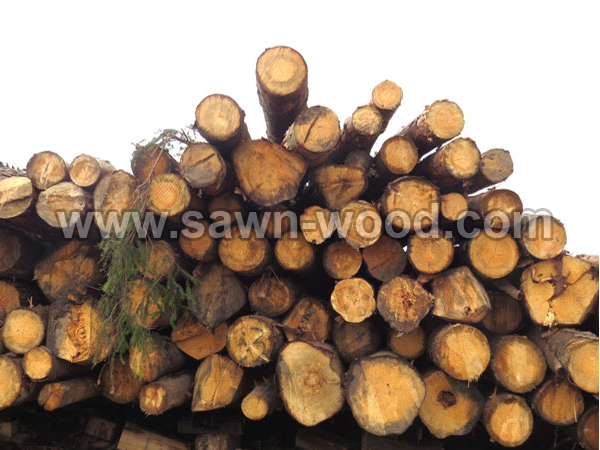 sawn wood (111)