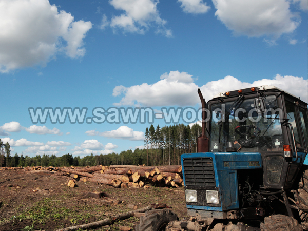 sawn wood (13)
