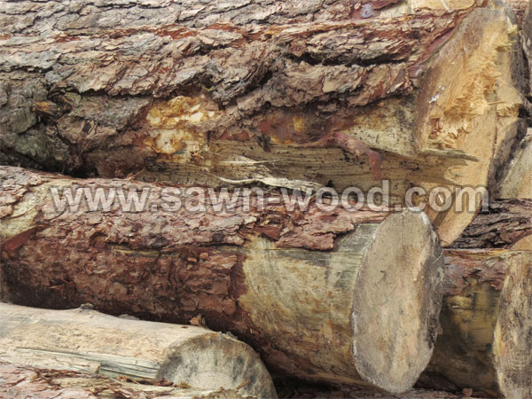 sawn wood (142)