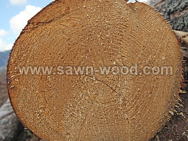 sawn wood (75)